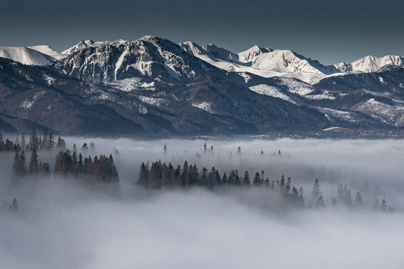 , Marek Biegalski