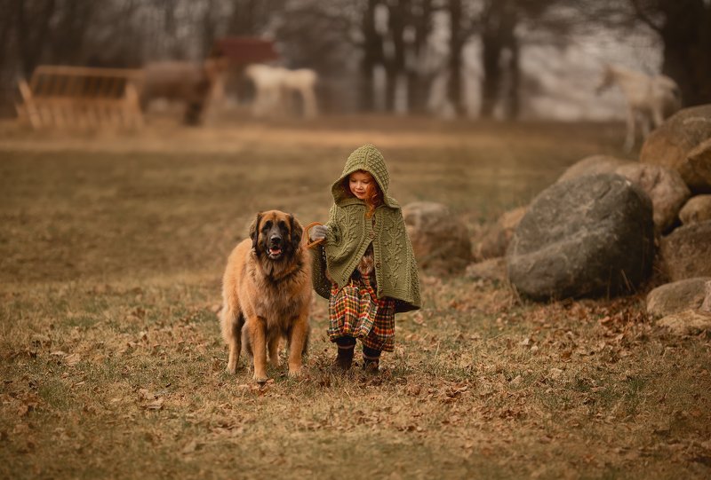 On the Irish country фото превью