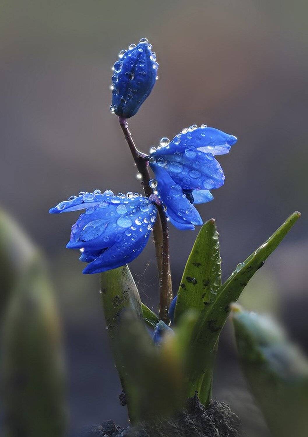 , Евгений Лукашук