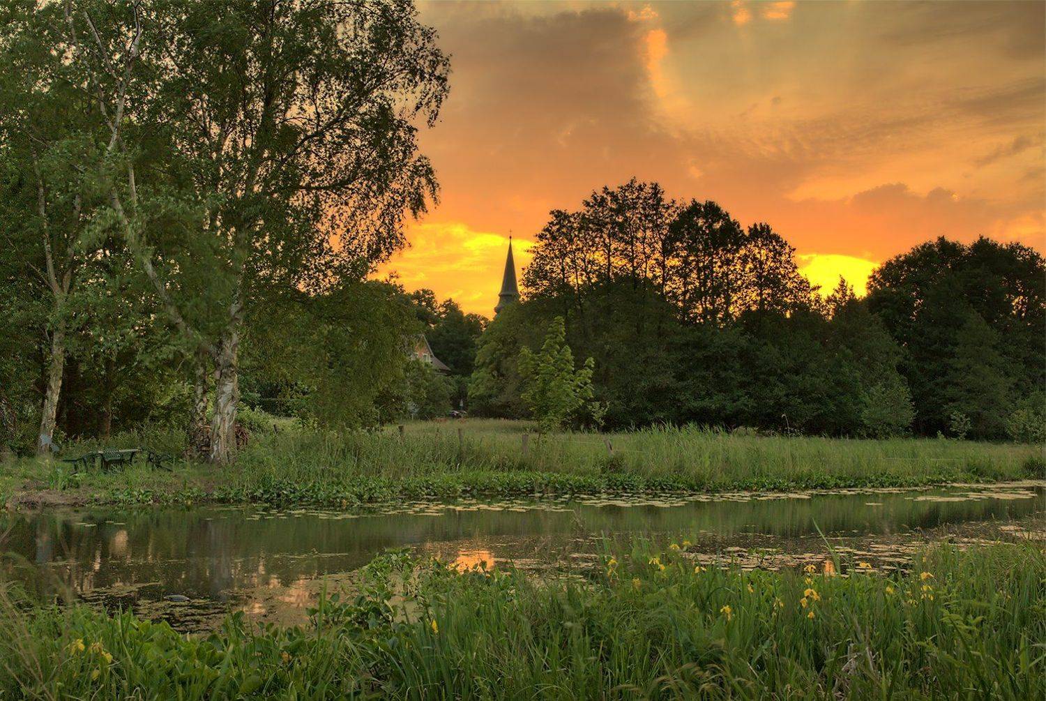 , Игорь Дубровский