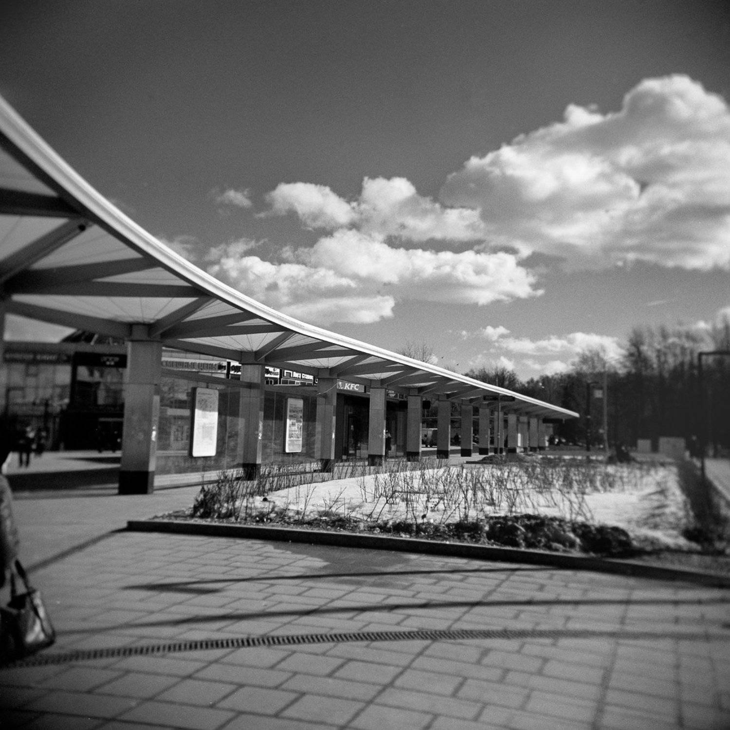 hilga город весна, Александр Резников