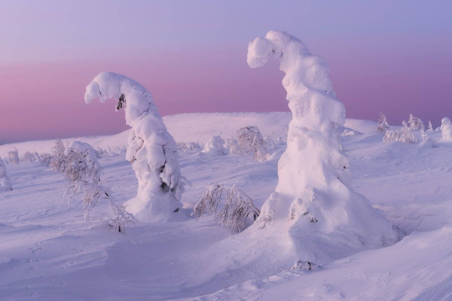 , Михаил Туркеев