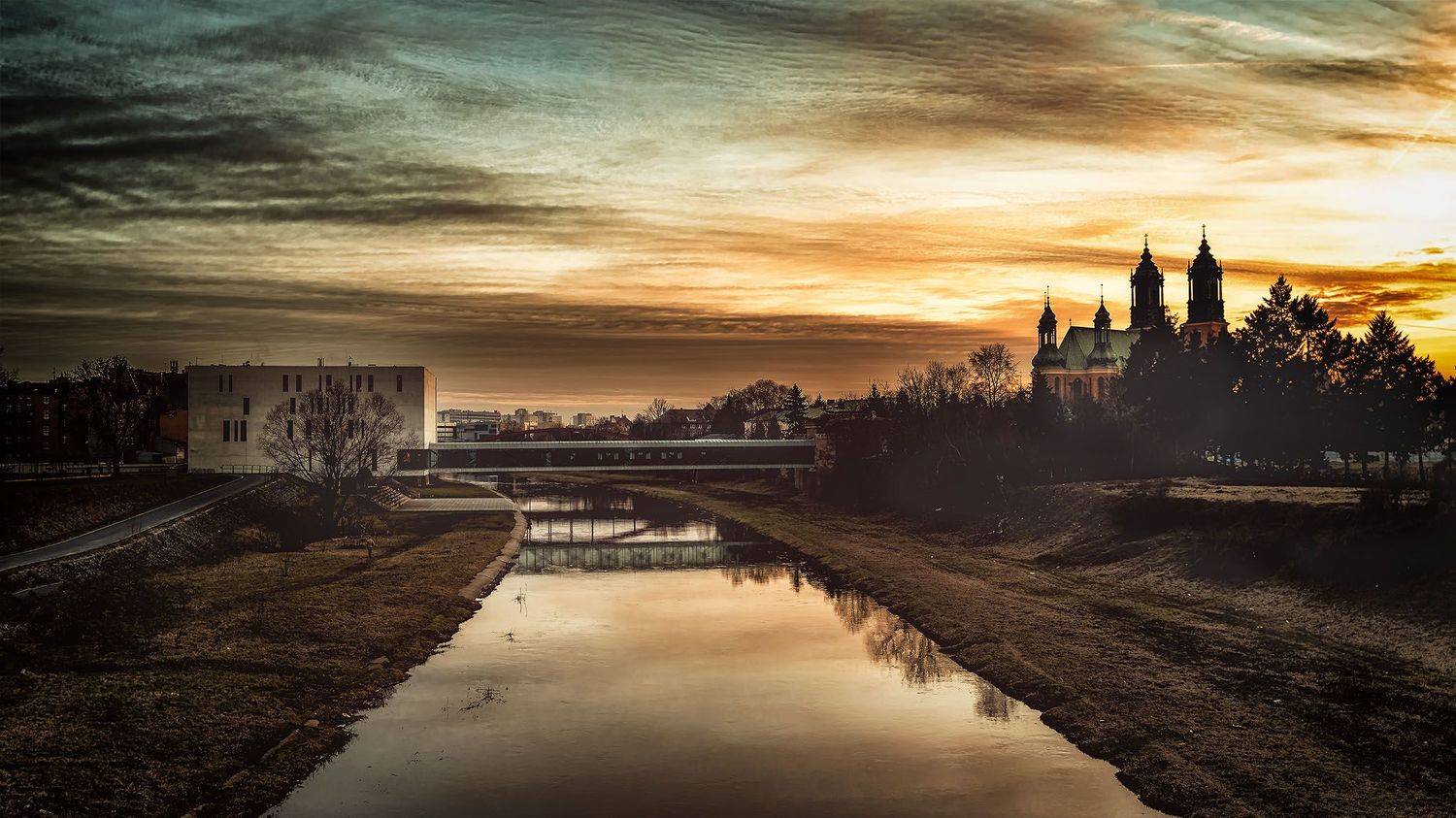 , Piotr Ryba Rybicki