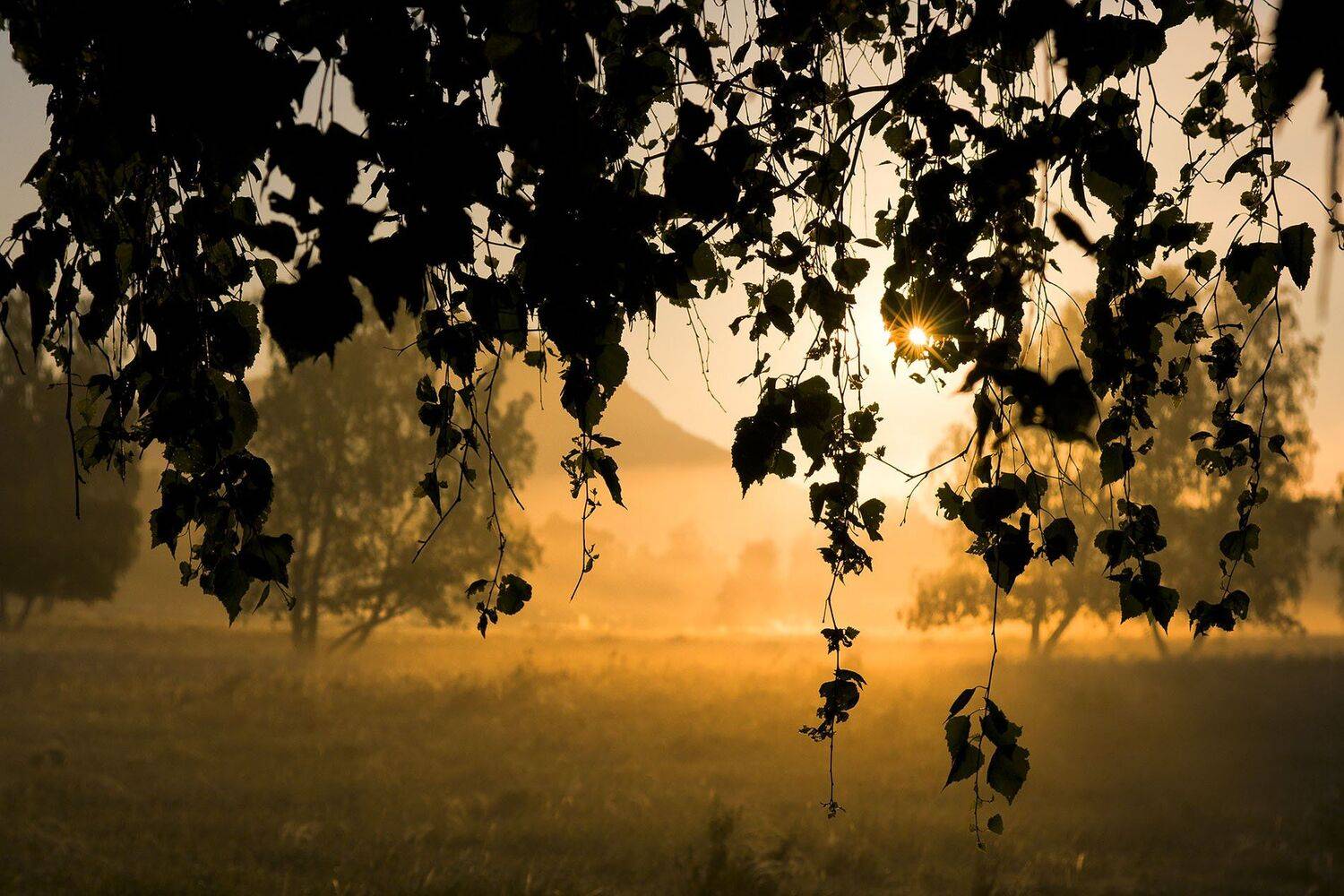 южный, урал, долгие горы, орск, новотроицк башкирия талкас, Качурин Алексей