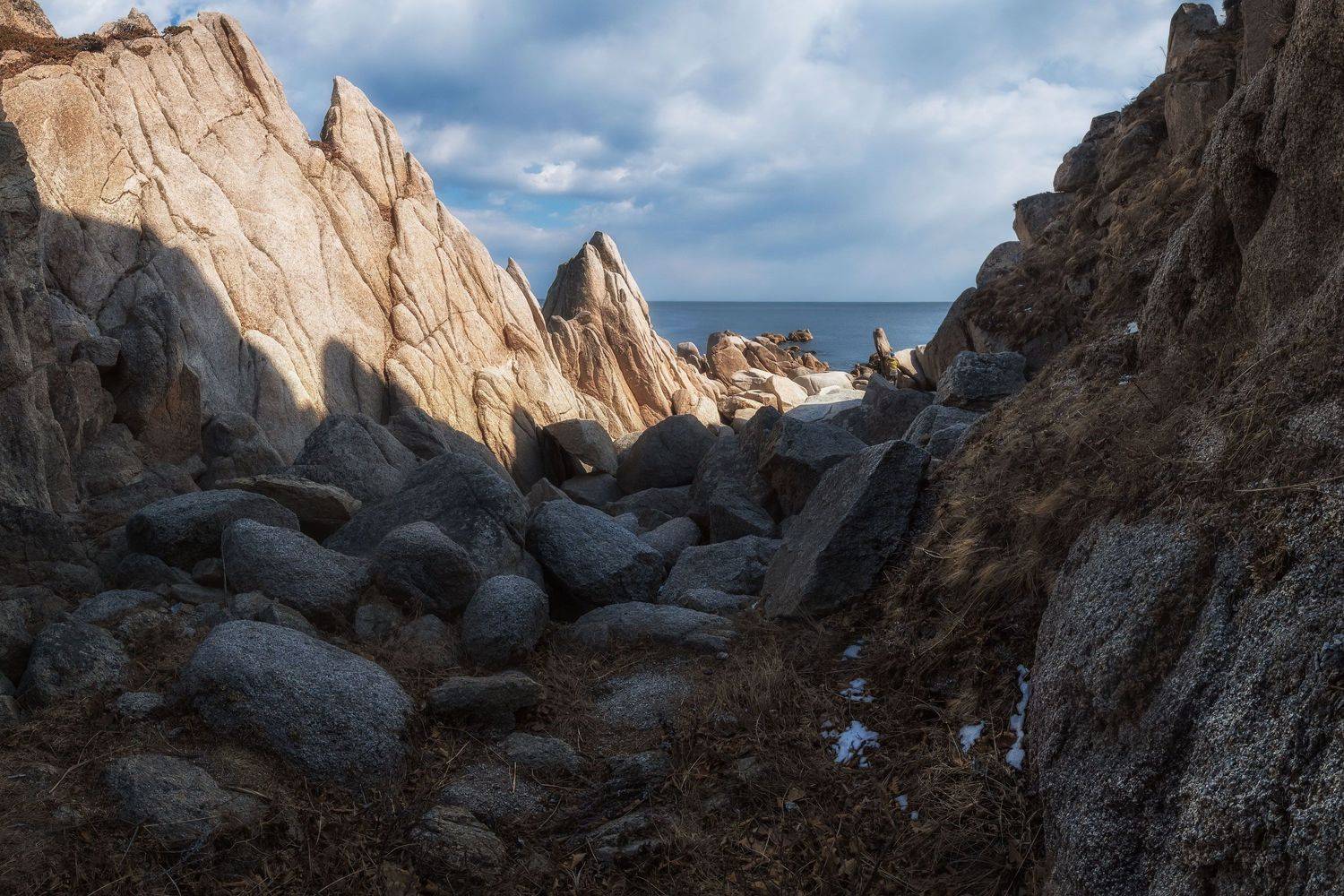 , Шинкарева Елена