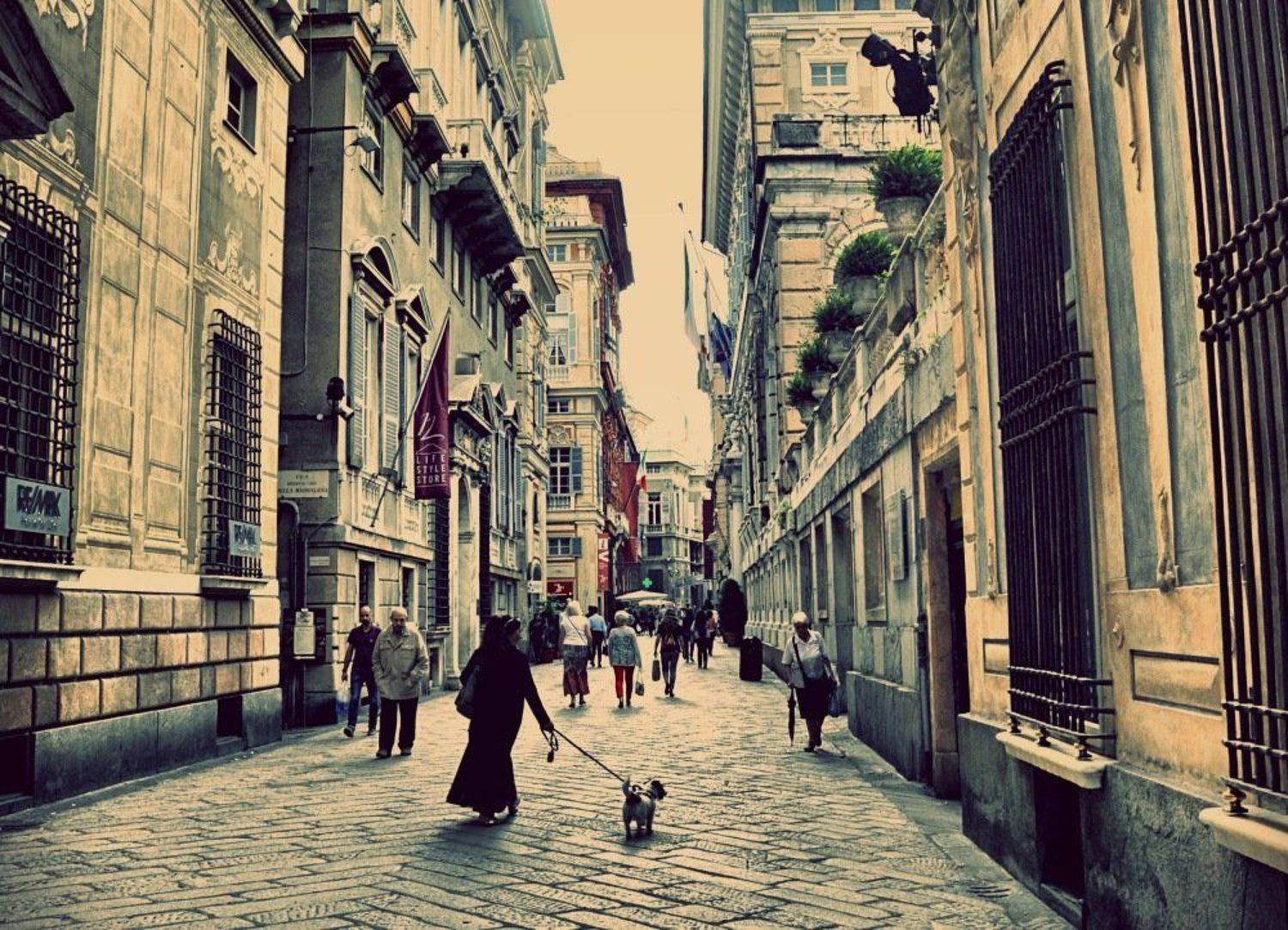 генуя, Лариса Запатрина