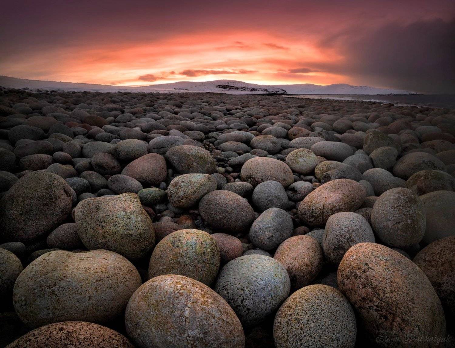 териберка,россия,кольский,пейзаж,закат,зима,солнце,облака,розовый,природа,море,океан,побережье, Elena Pakhalyuk