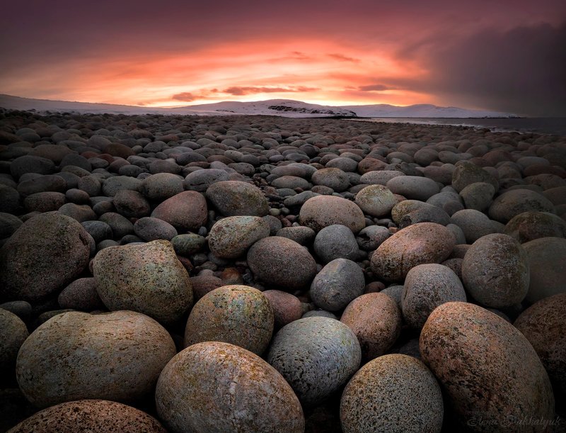 териберка,россия,кольский,пейзаж,закат,зима,солнце,облака,розовый,природа,море,океан,побережье Морские камешки фото превью
