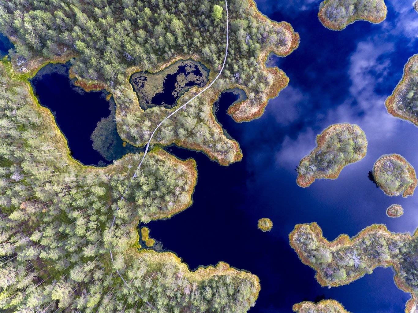 , Александр Абросимов