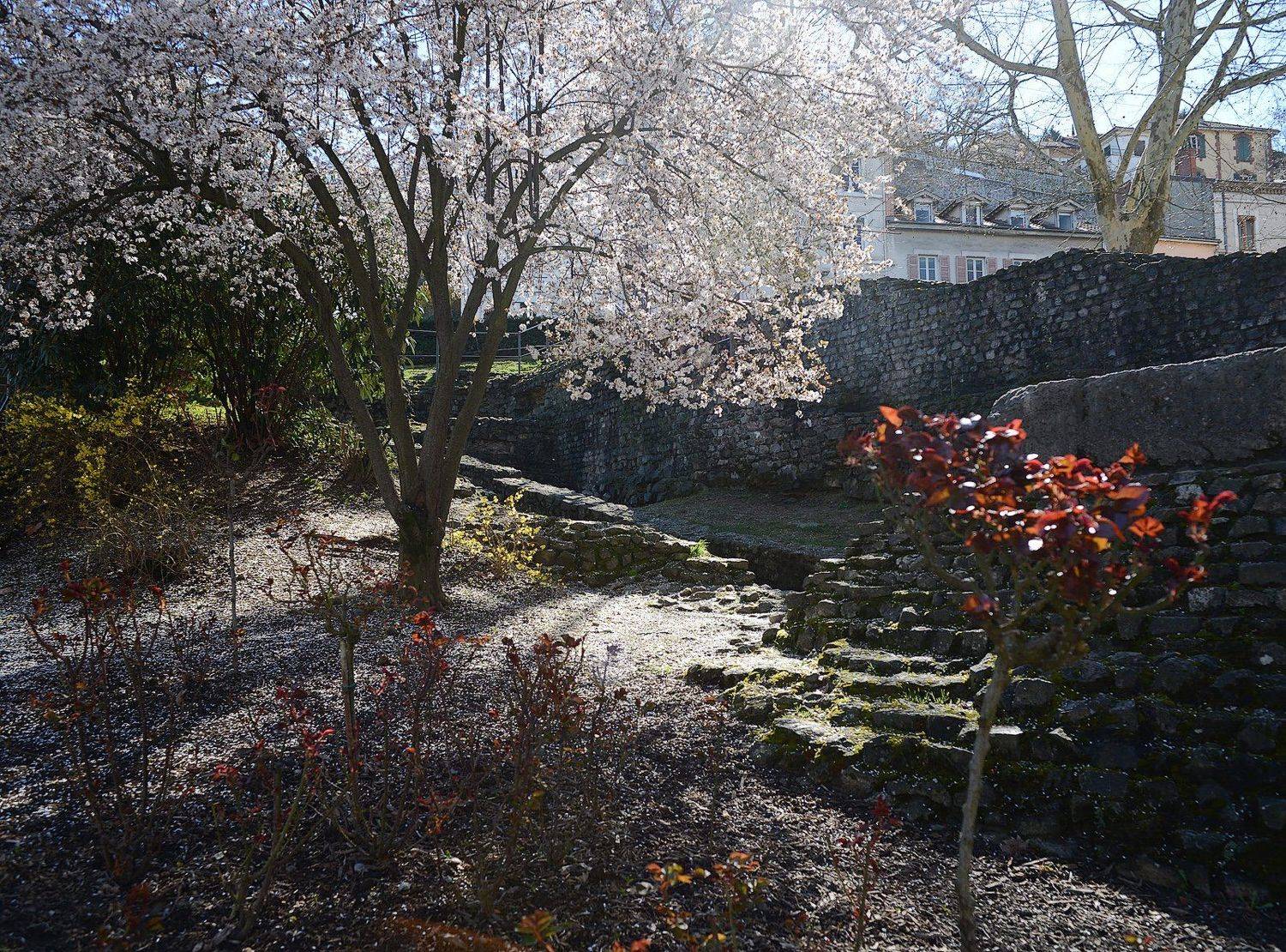 вьен, vienne, france, Olga N.