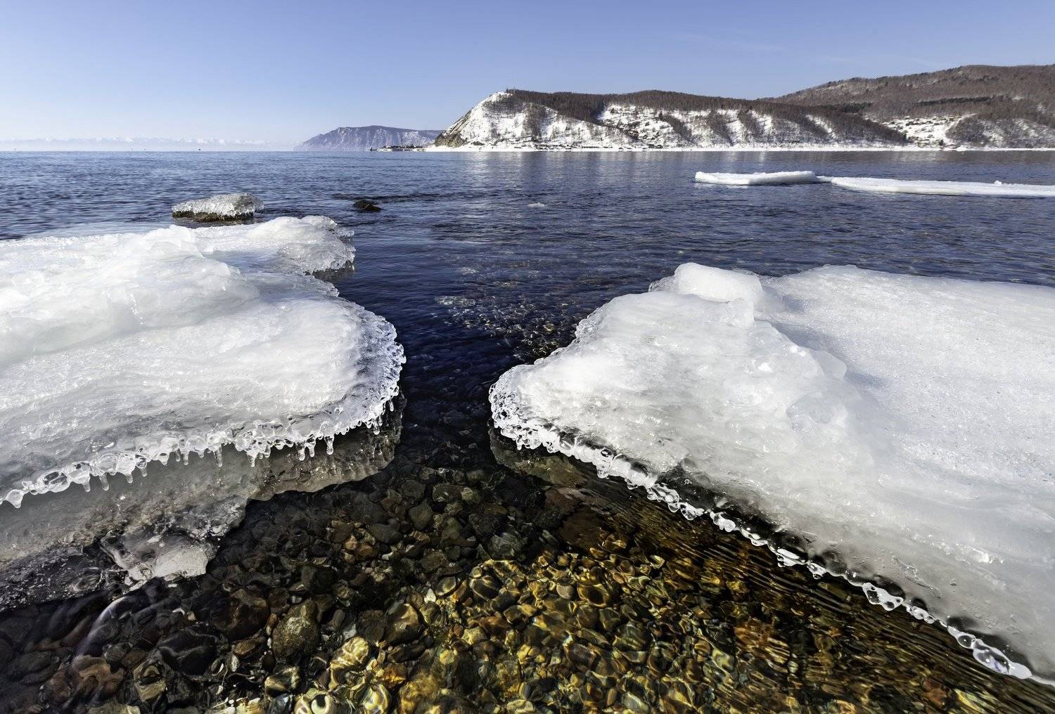 , Маргарита Фискина