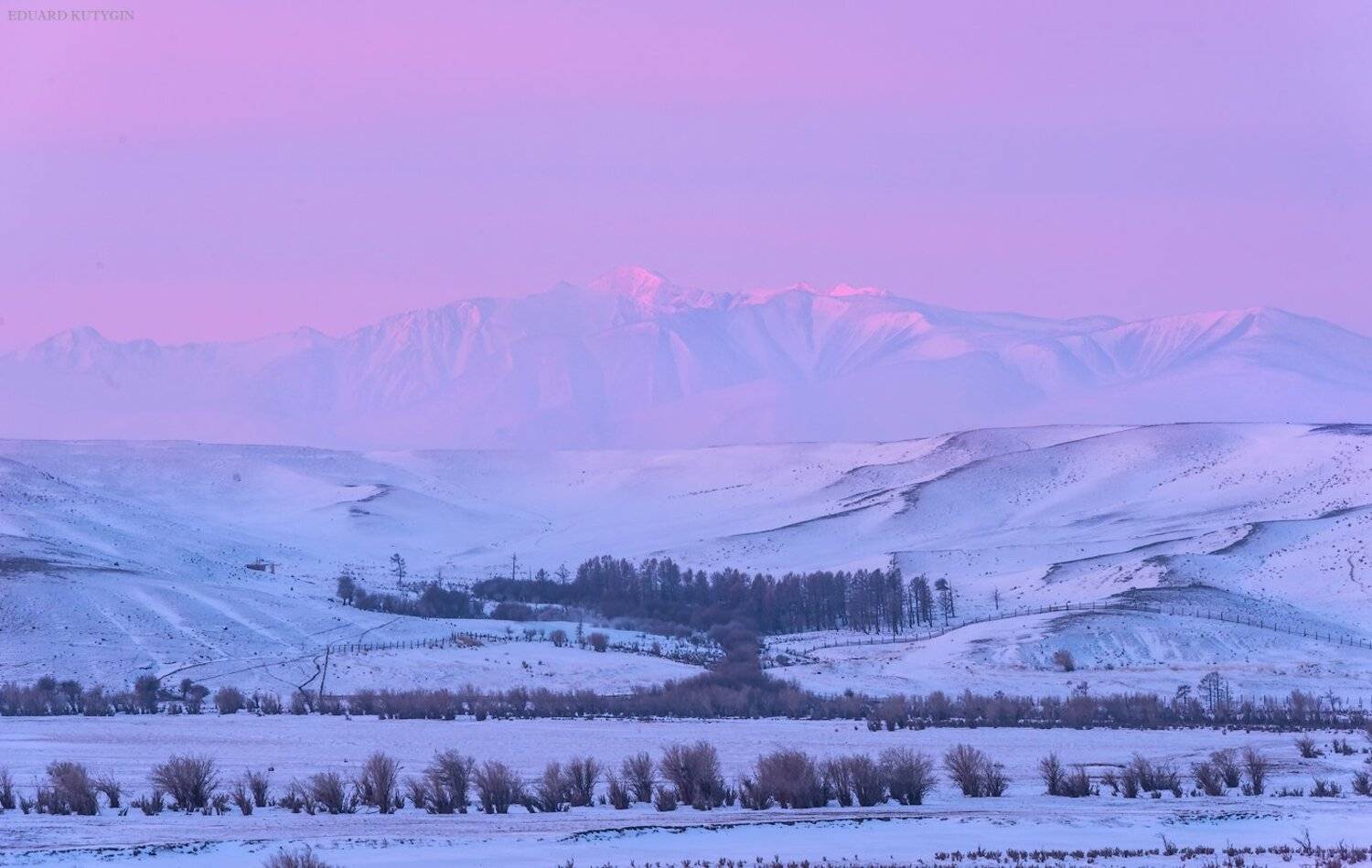  #алтай #чуйская #кокоря #чуя #Южно_Чуйский  #Altai #Бугузун, Кутыгин Эдуард