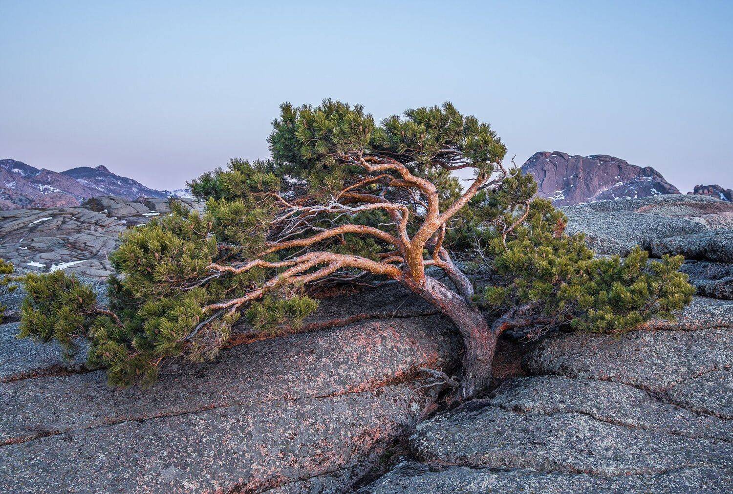 горы, Евгений Дроботенко