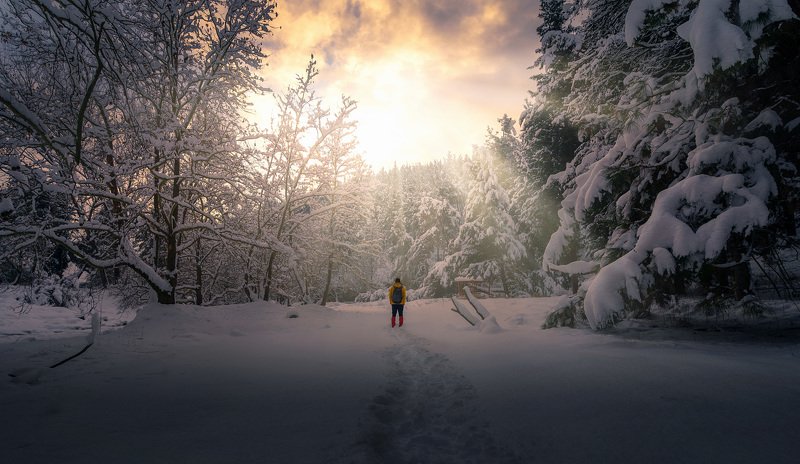 |Alone| фото превью