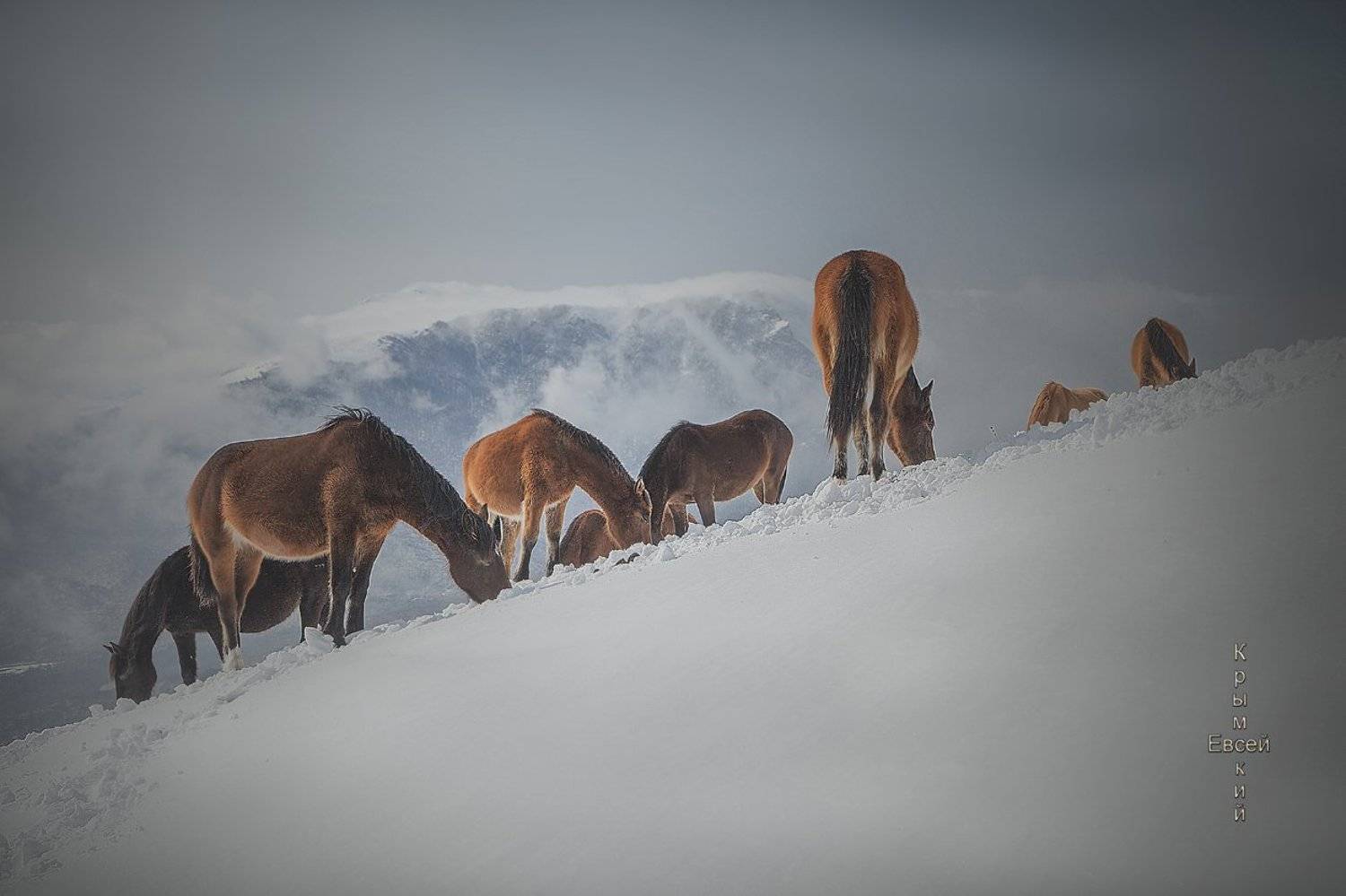 зима., Борис Костарев