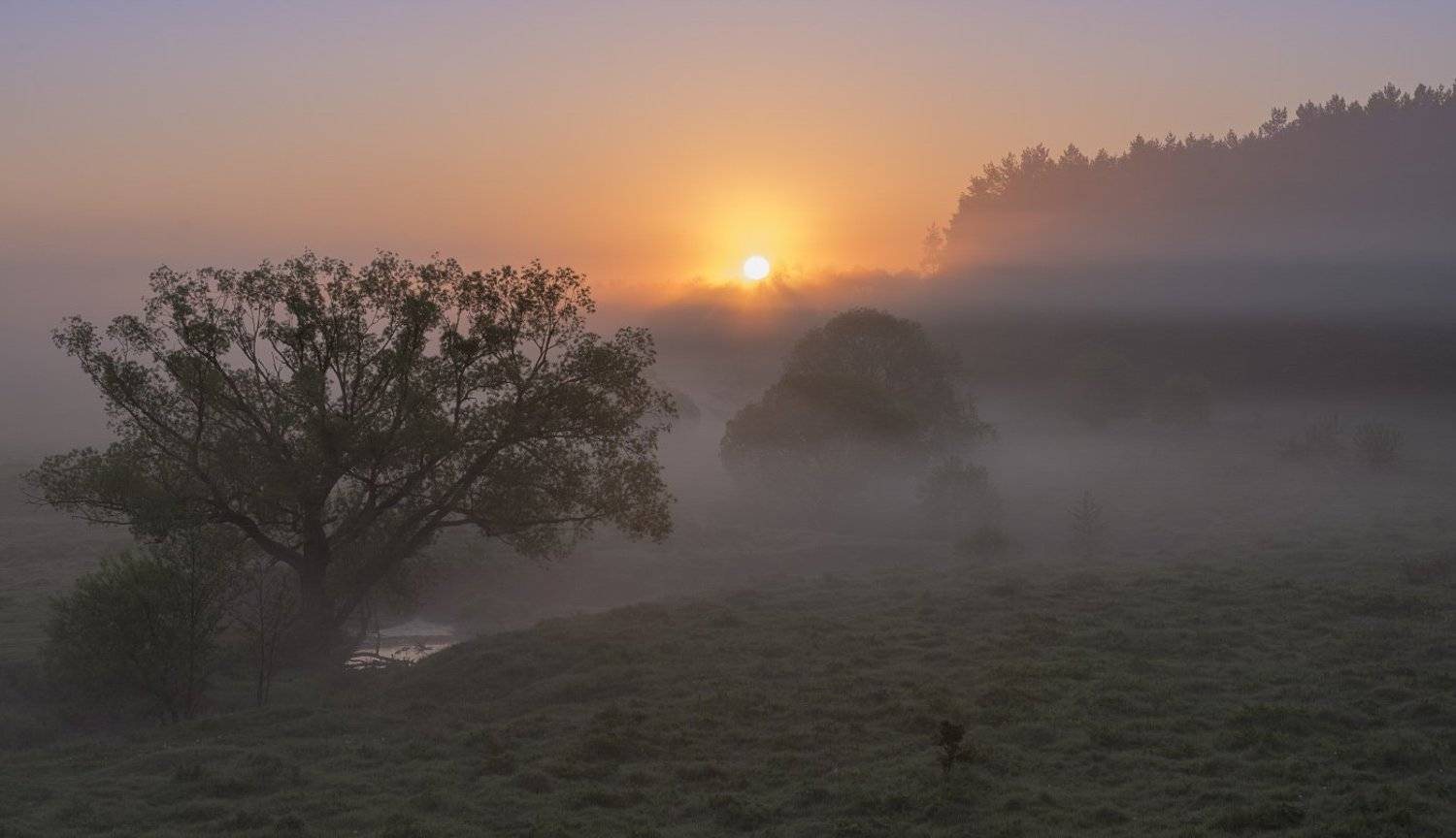 , Сергей Добровольский