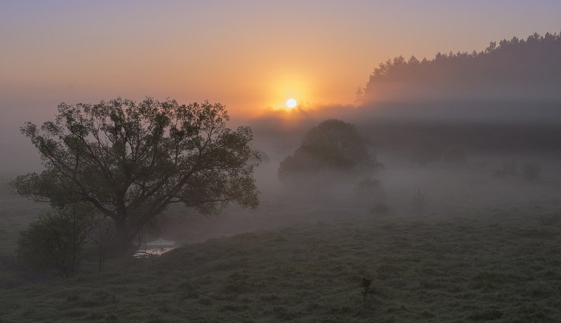 Утро... фото превью