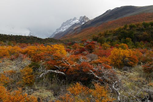 El Chalten