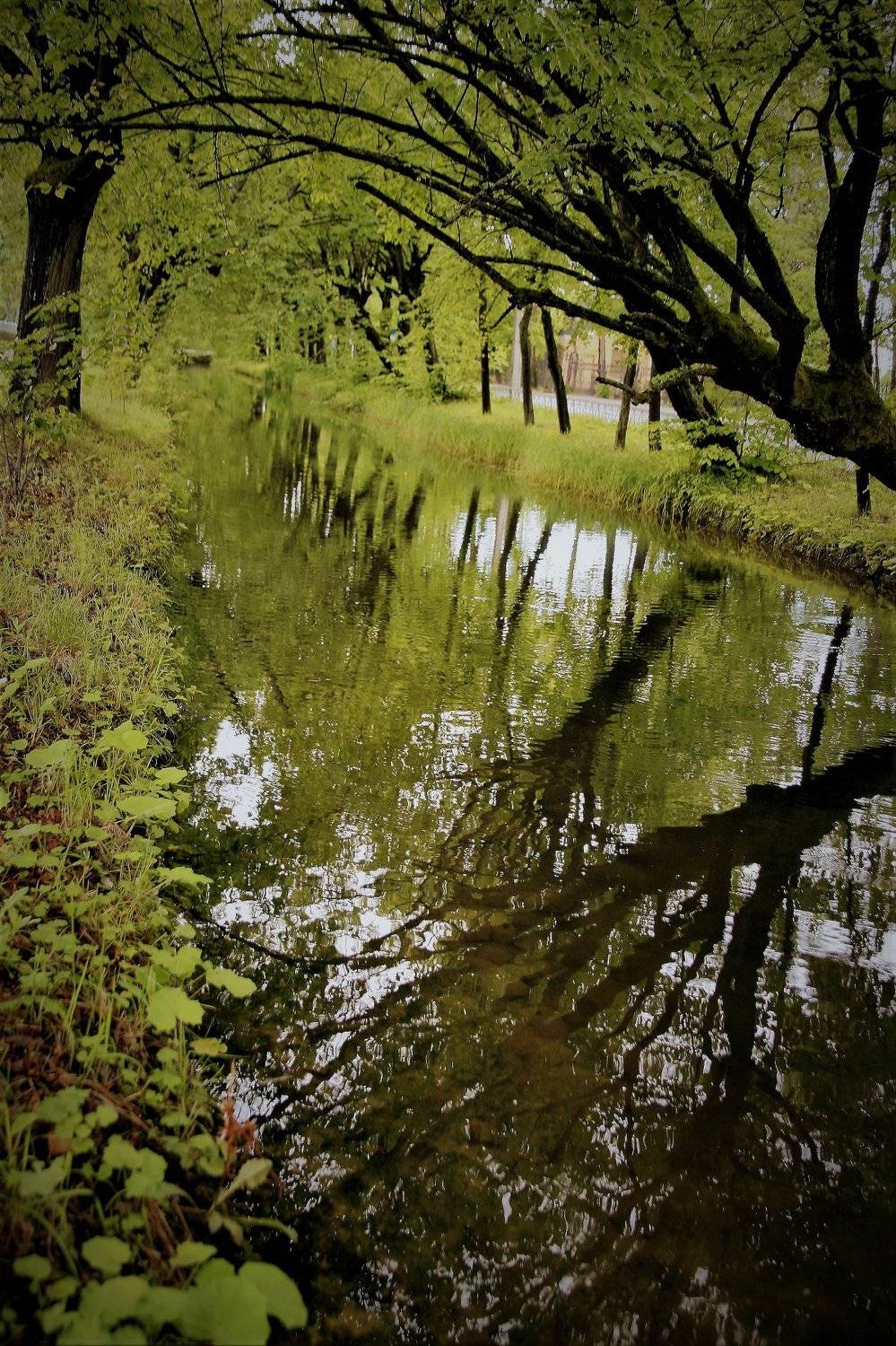 , ИГОРЬ МЕЛЬНИКОВ