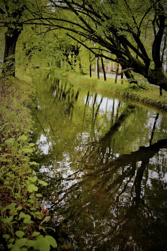 ..каналы Петергофа.... фото превью