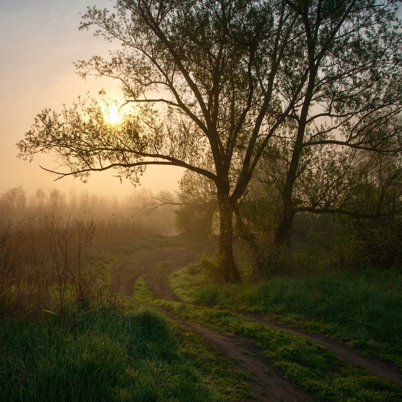 Ранняя дорога фото превью