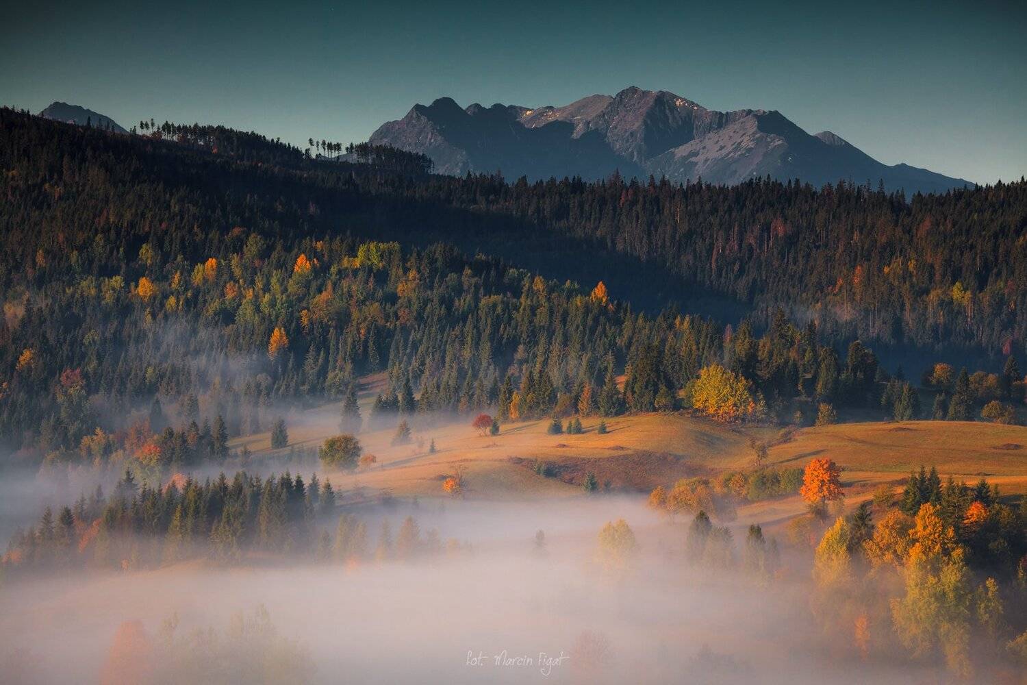 , Figat Marcin