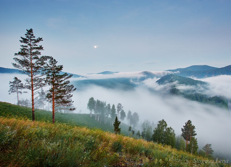река мана, туман, утро, красноярск Туман над рекой фото превью