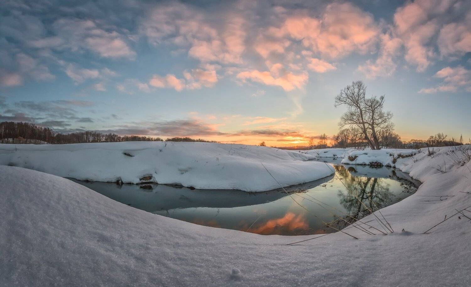 , Николай Андреев
