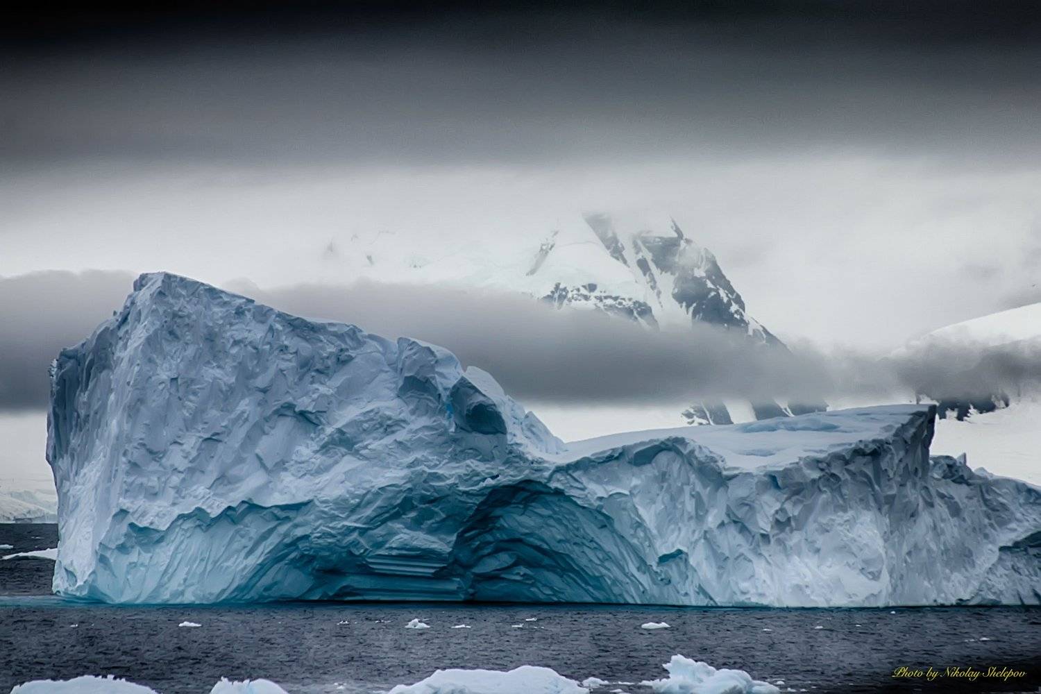 , Николай Шелепов