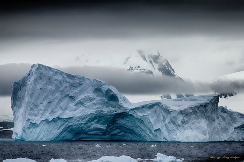Антарктида 44 фото превью