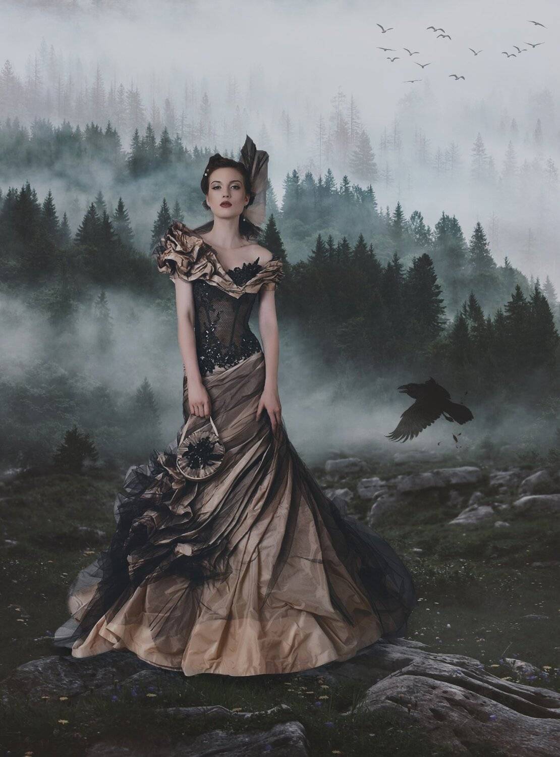 горы, туман, девушка, ворон, Sergii Vidov