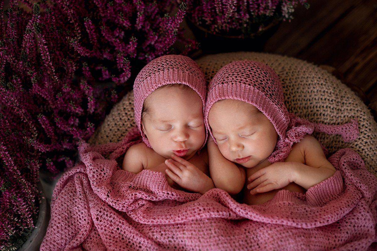 , Алена Волкова