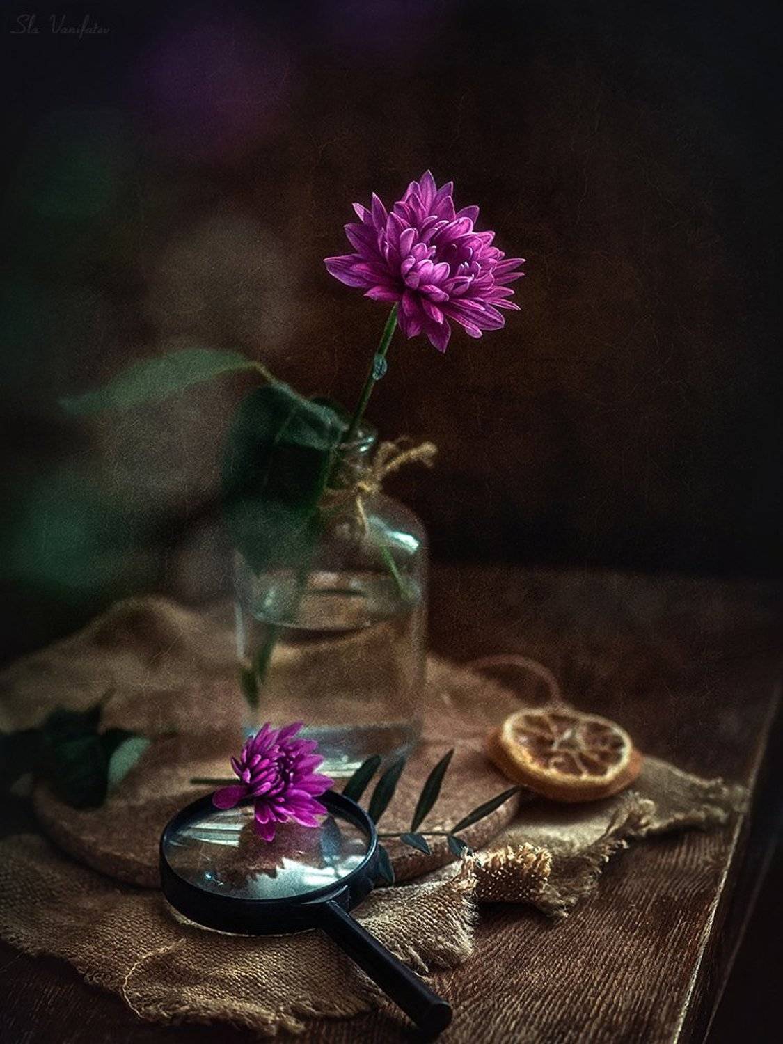 натюрморт, Вячеслав Ванифатьев