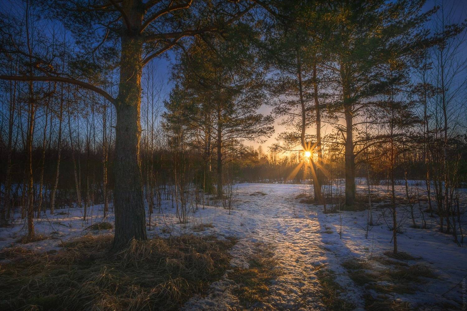 , Евгений Луцко