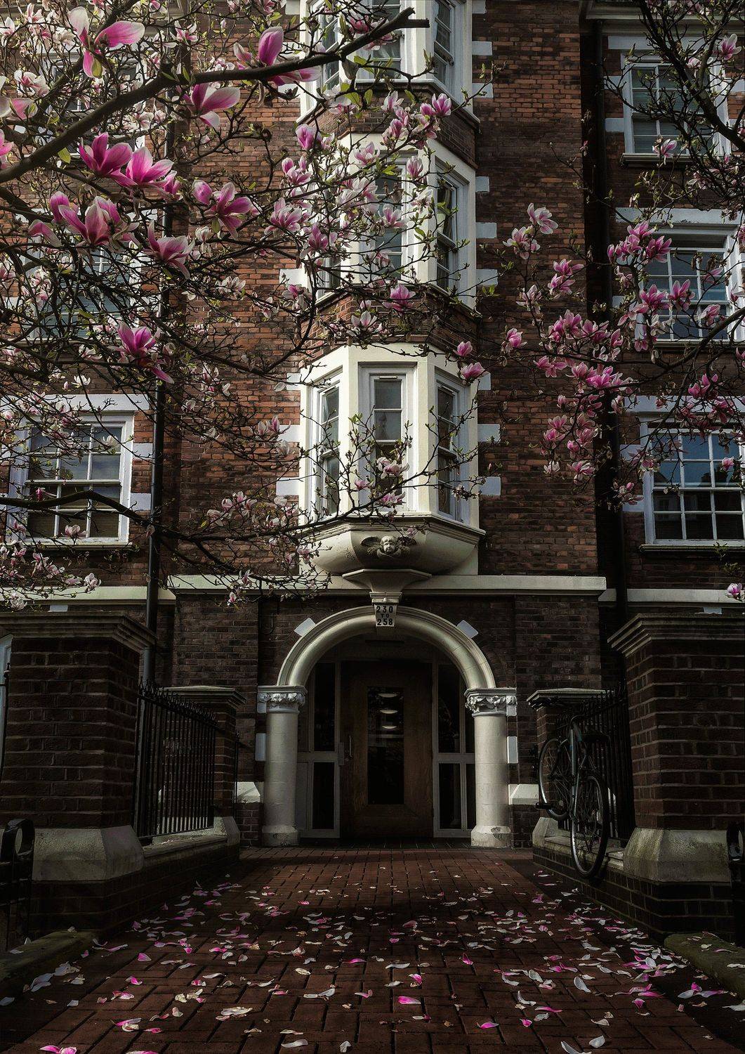 город, архитектура, лондон, англия, Алексей Ермаков