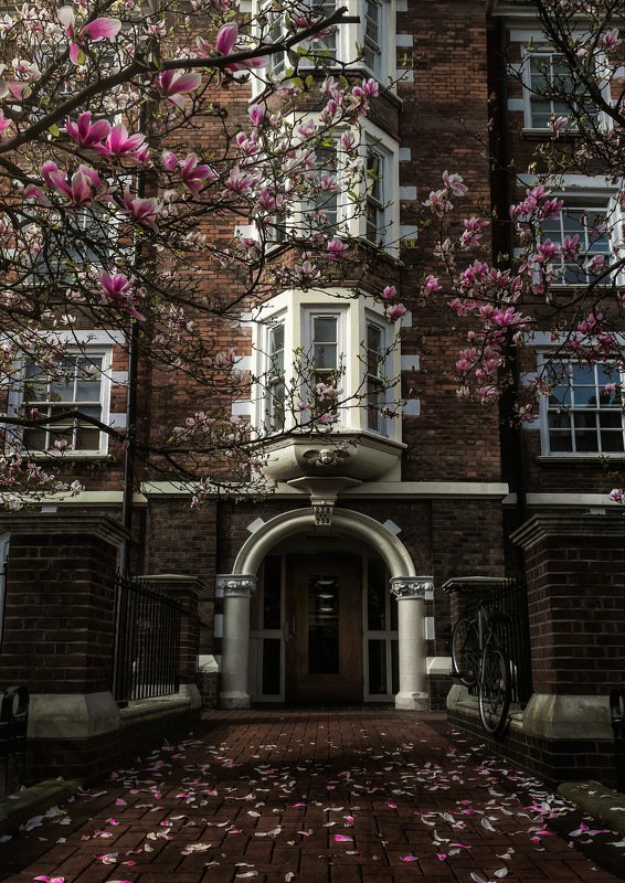 город, архитектура, лондон, англия Fish, chips, cup of tea фото превью