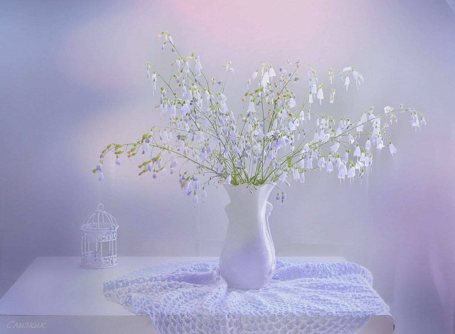 натюрморт,букет,свет,колокольчик,композиция, Инаида