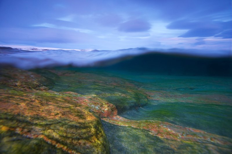 север, баренцево море, сплит Гранитное побережье Мотовского залива. фото превью