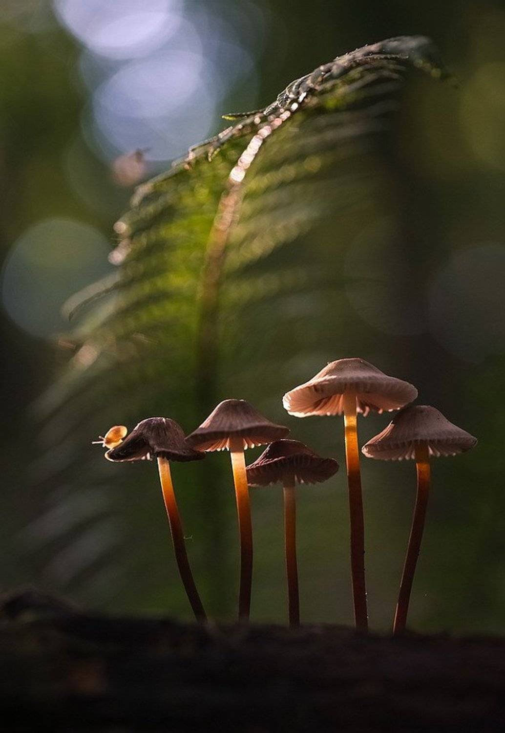 , Вячеслав Мищенко