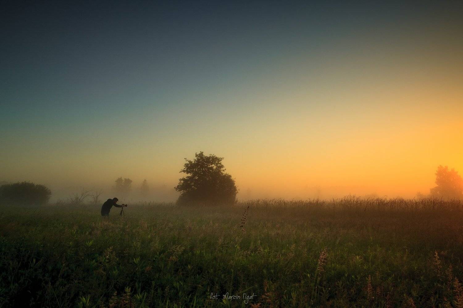 passion., Figat Marcin