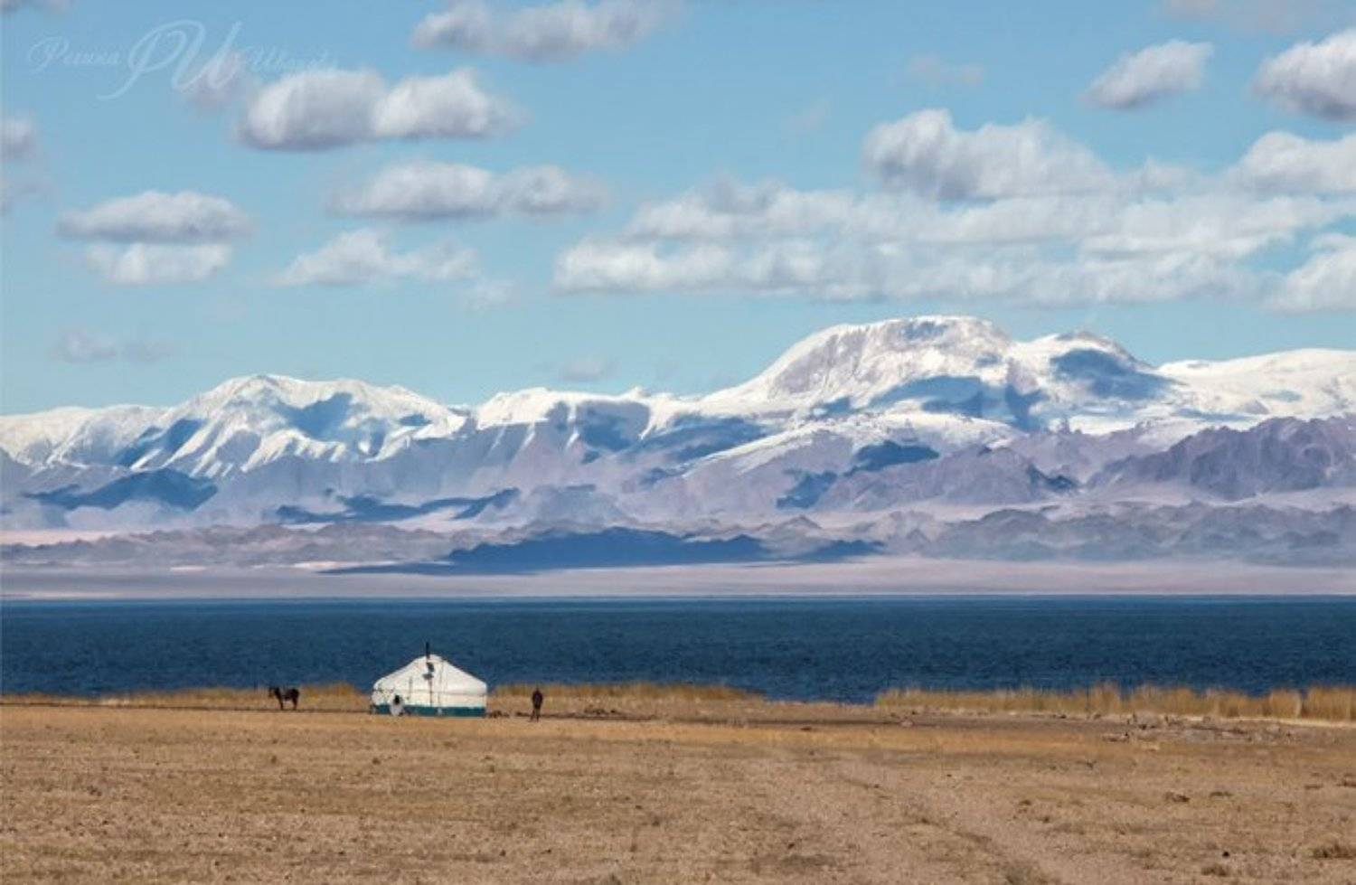 , Иванова Регина