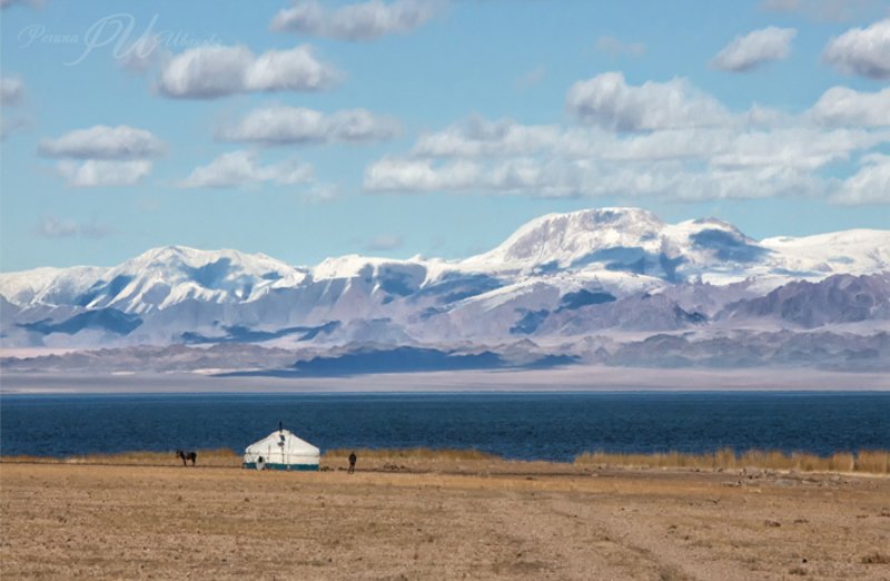 Загадочная Монголия. Озеро Ачит-Нуур. фото превью