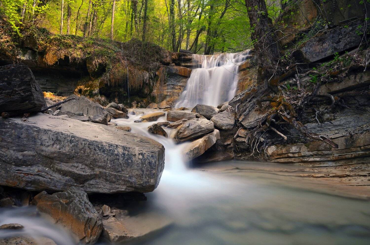 , Митя Андреев