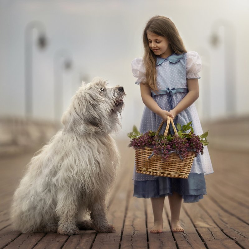 The dog and it\'s friend, the Child фото превью