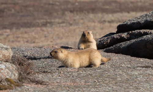 Весна пришла.