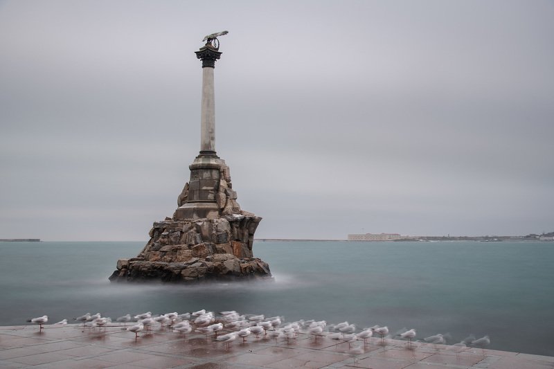 Птички, волны и ветер. Севастополь фото превью