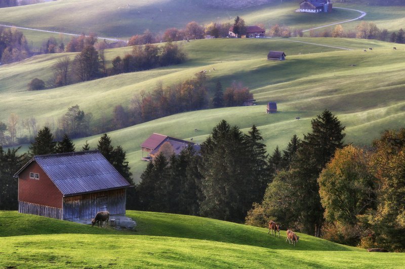 швейцария Швейцарская идиллия фото превью