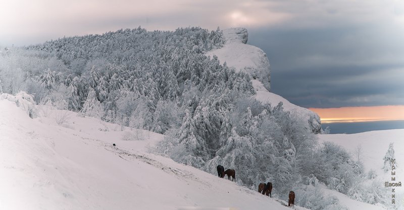 Крым фото превью