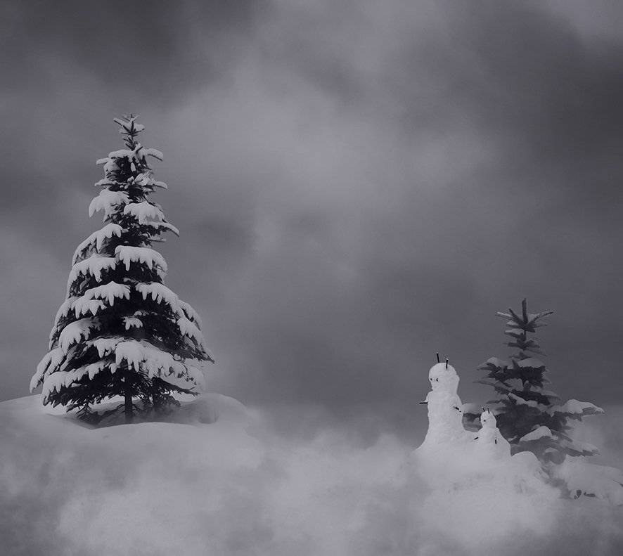, T. Bondarenko