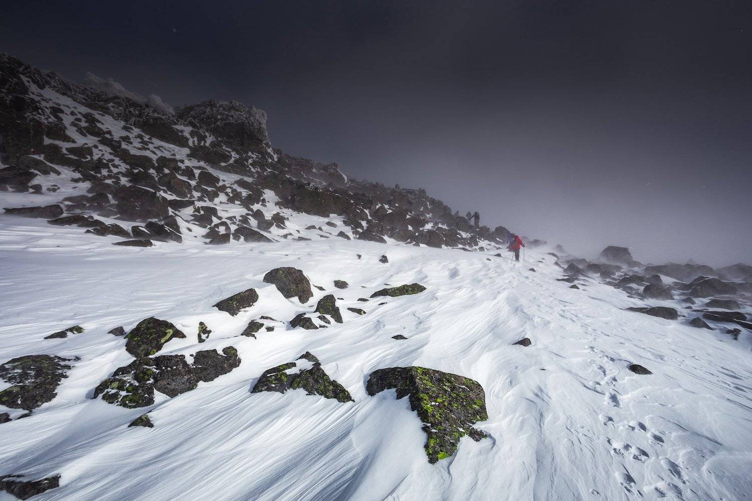 , Игорь Криницын